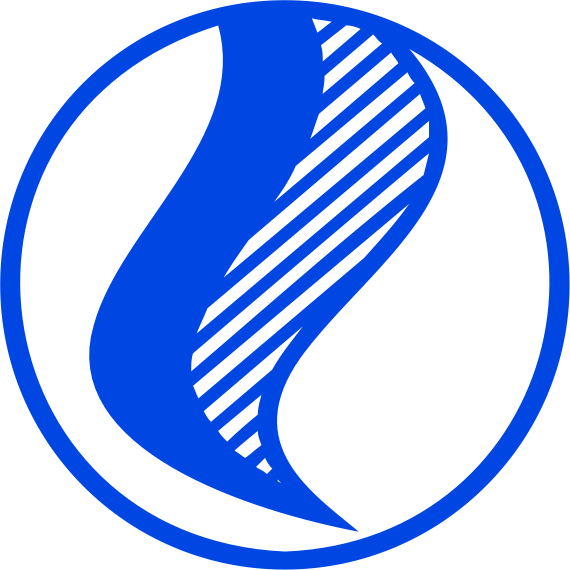 International B-daman Association